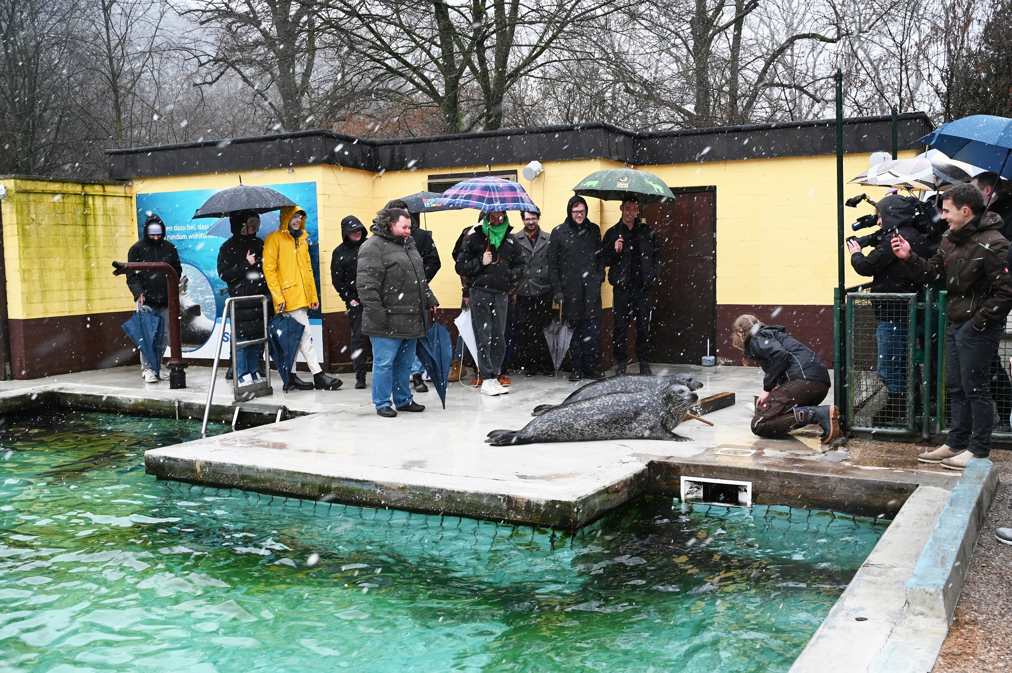 Das Konzert der 12 Tenors mit den Seehunden sorgte für Begeisterung im Tiergarten Kleve