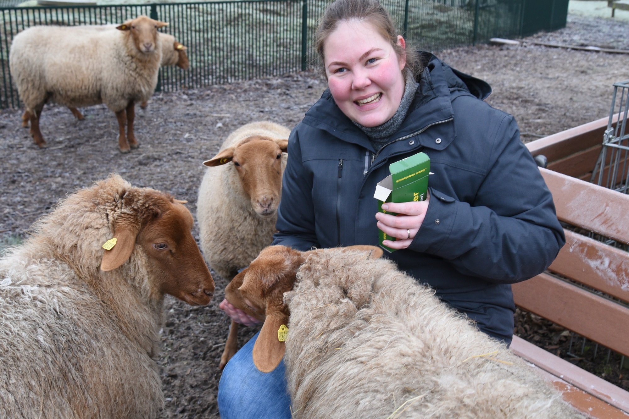 Endlich wieder Schafe füttern- die beiden Streichelzoos des Tiergarten Kleve laden zu einem Frühjahrsbesuch ein