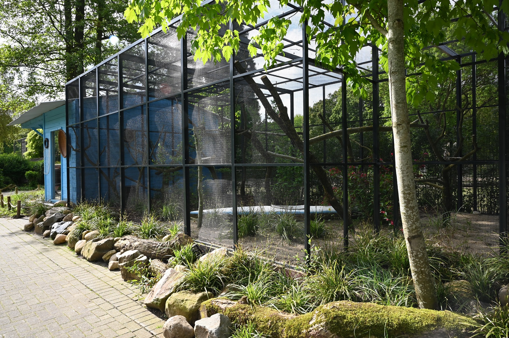 Die neue Anlage der Zweifarbtamarine im Tiergarten Kleve erinnert an eine südamerikanische Fischerhütte (1)