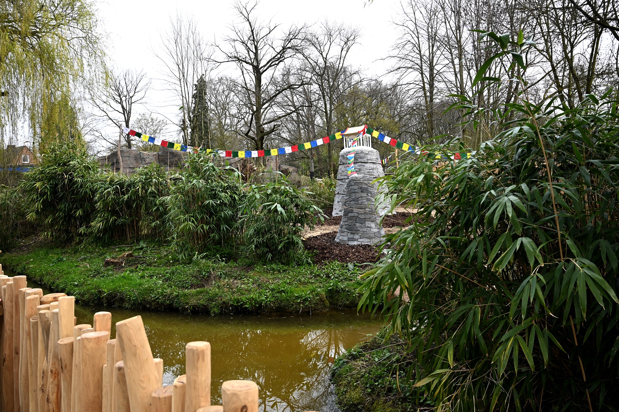 Im Tiergarten Kleve wurde die neue Rote Pandaanlage eröffnet (2)