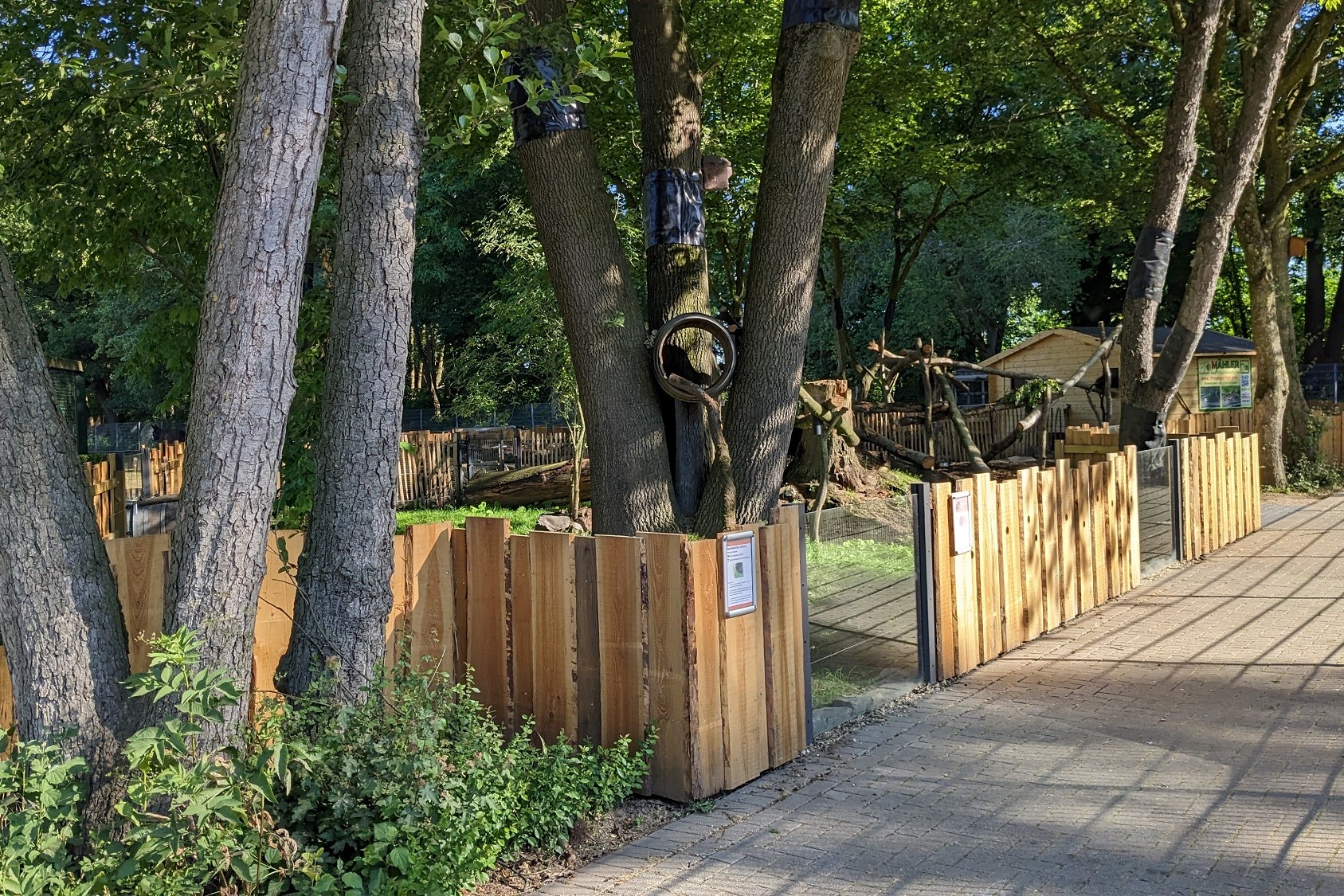 Im Tiergarten Kleve wurde die neue Nordamerika-Anlage für Baumstachler und Stinktiere eröffnet (1)