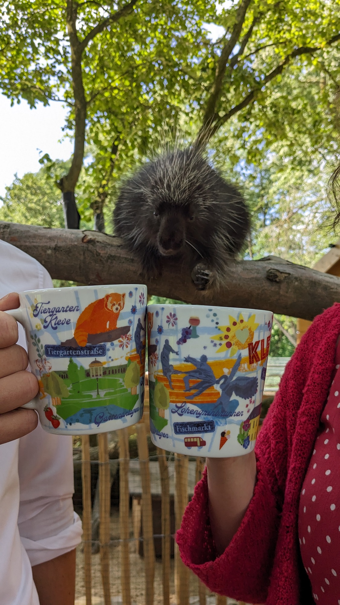 Die neue Kleve-Tasse trifft auf die Tiere im Tiergarten Kleve (6)