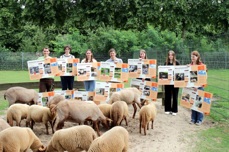 Studierende der Hochschule Rhein-Waal haben neue Tierschilder für den Tiergarten Kleve erstellt (2)