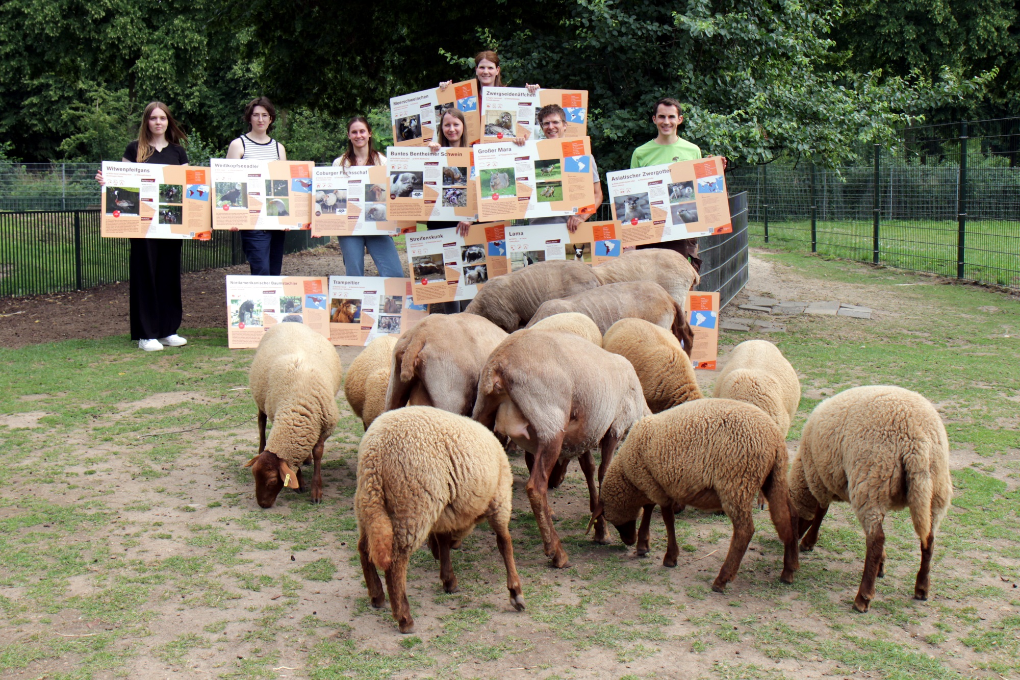 Studierende der Hochschule Rhein-Waal haben neue Tierschilder für den Tiergarten Kleve erstellt (3)