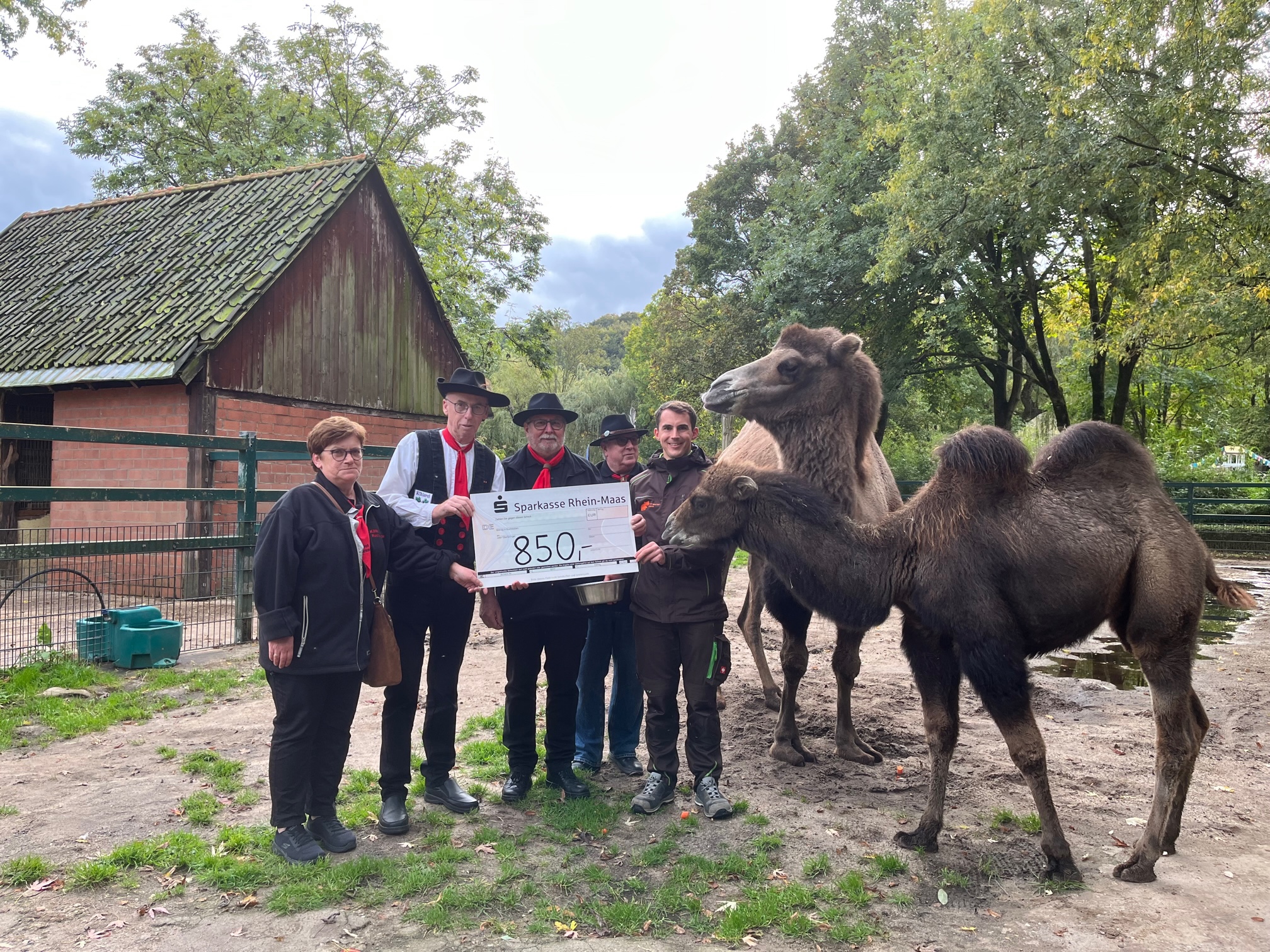 Das Team der Köhlerei Reichswalde überreichte Tiergartenleiter Martin Polotzek (rechts) und den Trampeltieren Safira und Ruby den Spendencheck über 850 €