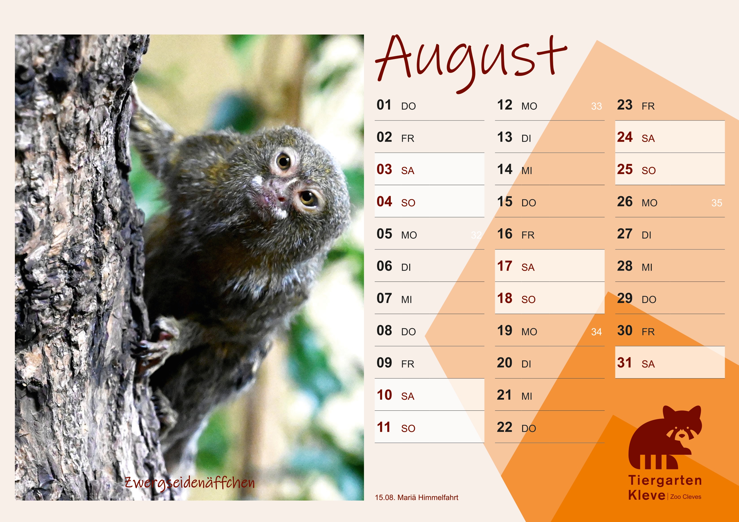 Der neue Tiergartenkalender 2024 ist ab sofort an der Kasse des Tiergarten Kleve erhältlich (1)