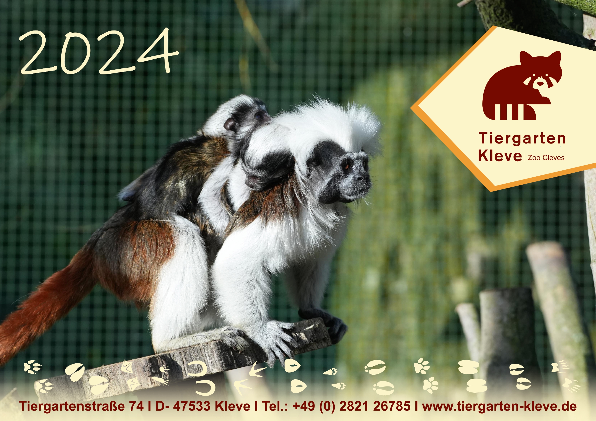 Der neue Tiergartenkalender 2024 ist ab sofort an der Kasse des Tiergarten Kleve erhältlich (2)
