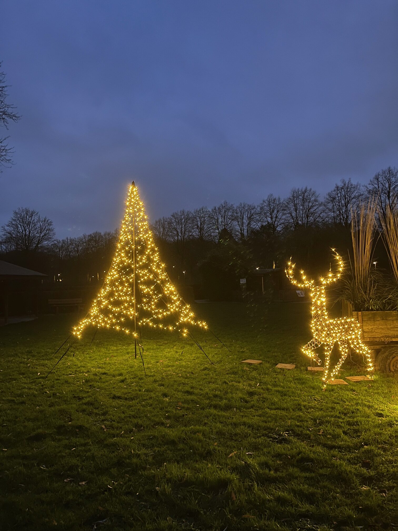 Mit mehreren Leuchtinstallationen sorgt der Tiergarten Kleve für weihnachtliche Stimmung bei einem Zoobesuch (2)