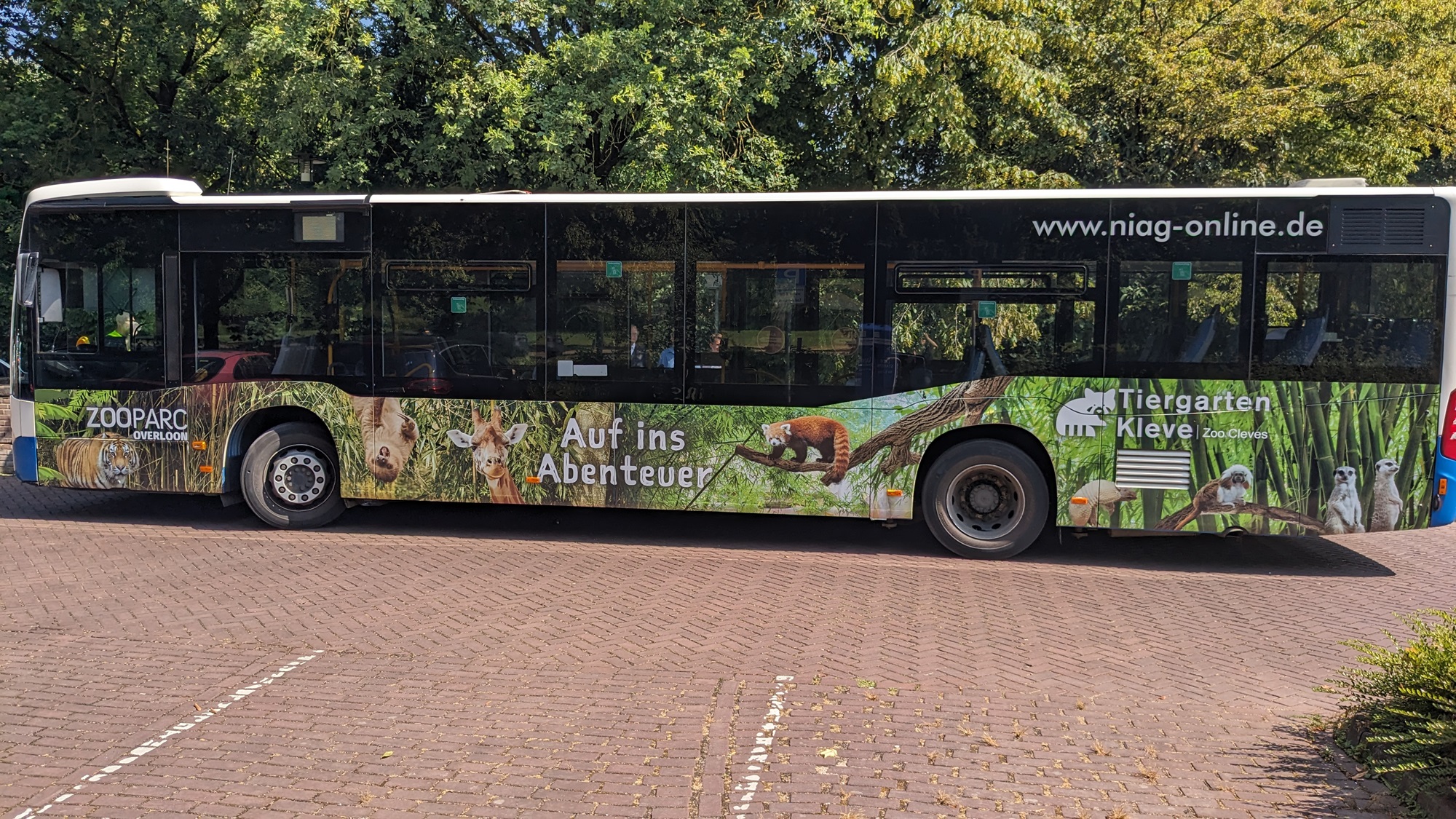 Tiergarten Kleve-ZooParc Overloon Bus