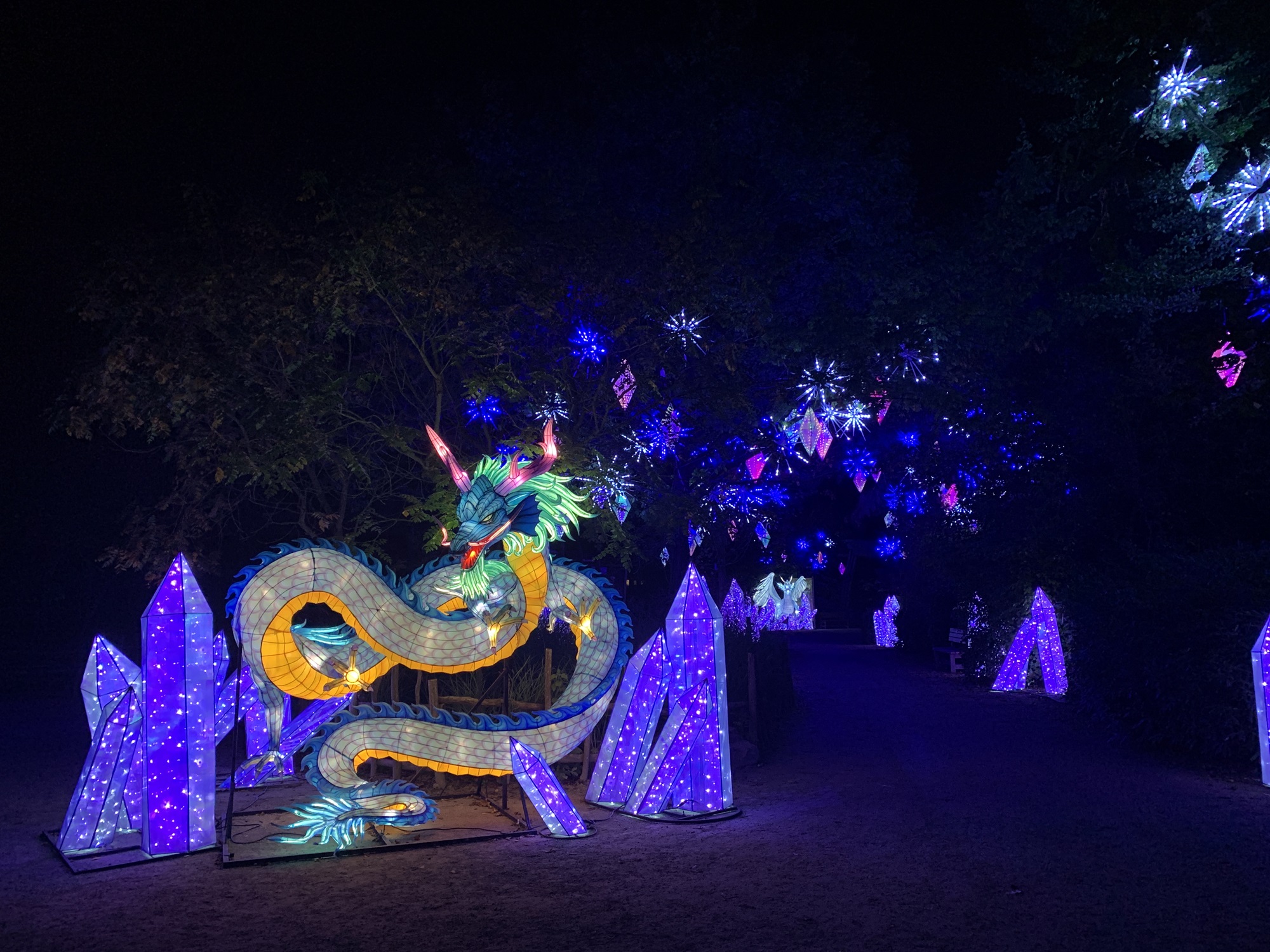 Vom 10.2.24 bis 30.3.24 feiern die China Lights ihre Niederrhein-Premiere und begeistern die Gäste im Tiergarten Kleve (2)