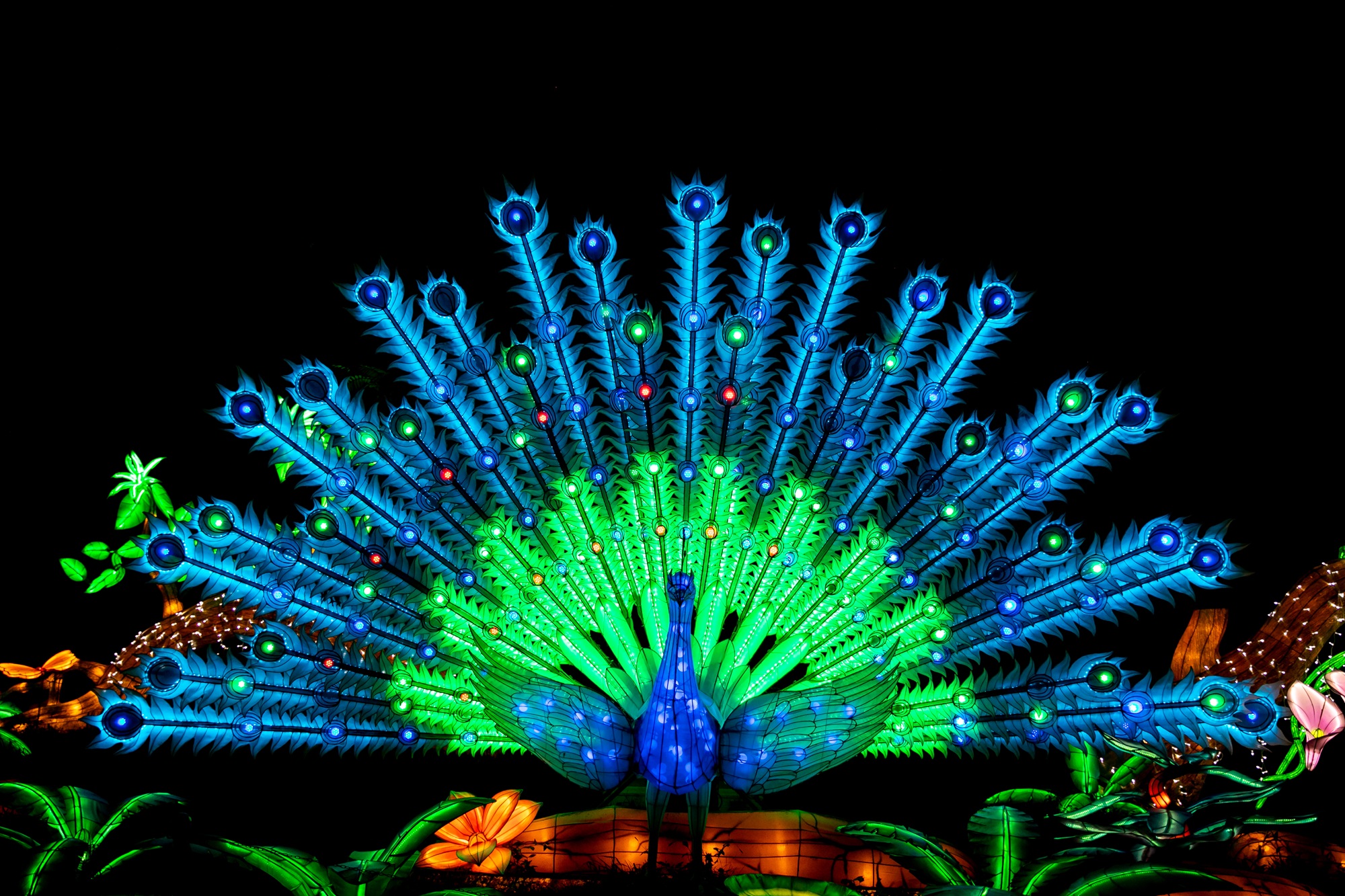 Vom 10.2.24 bis 30.3.24 feiern die China Lights ihre Niederrhein-Premiere und begeistern die Gäste im Tiergarten Kleve (4)