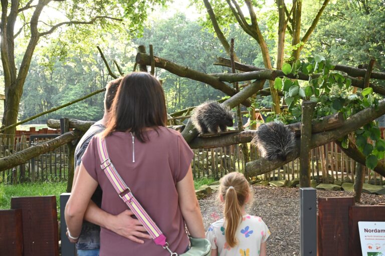 Die Herbstferien bieten neue Highlights, kostenlose Backstageführungen sowie Schaufütterungen im Tiergarten Kleve (3)