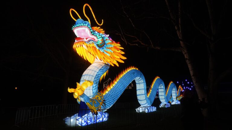 Vom 10.10.-30.11.2025 verzaubern die China Lights Kleve in einer völlig neuen Ausstellung den Tiergarten Kleve (1)