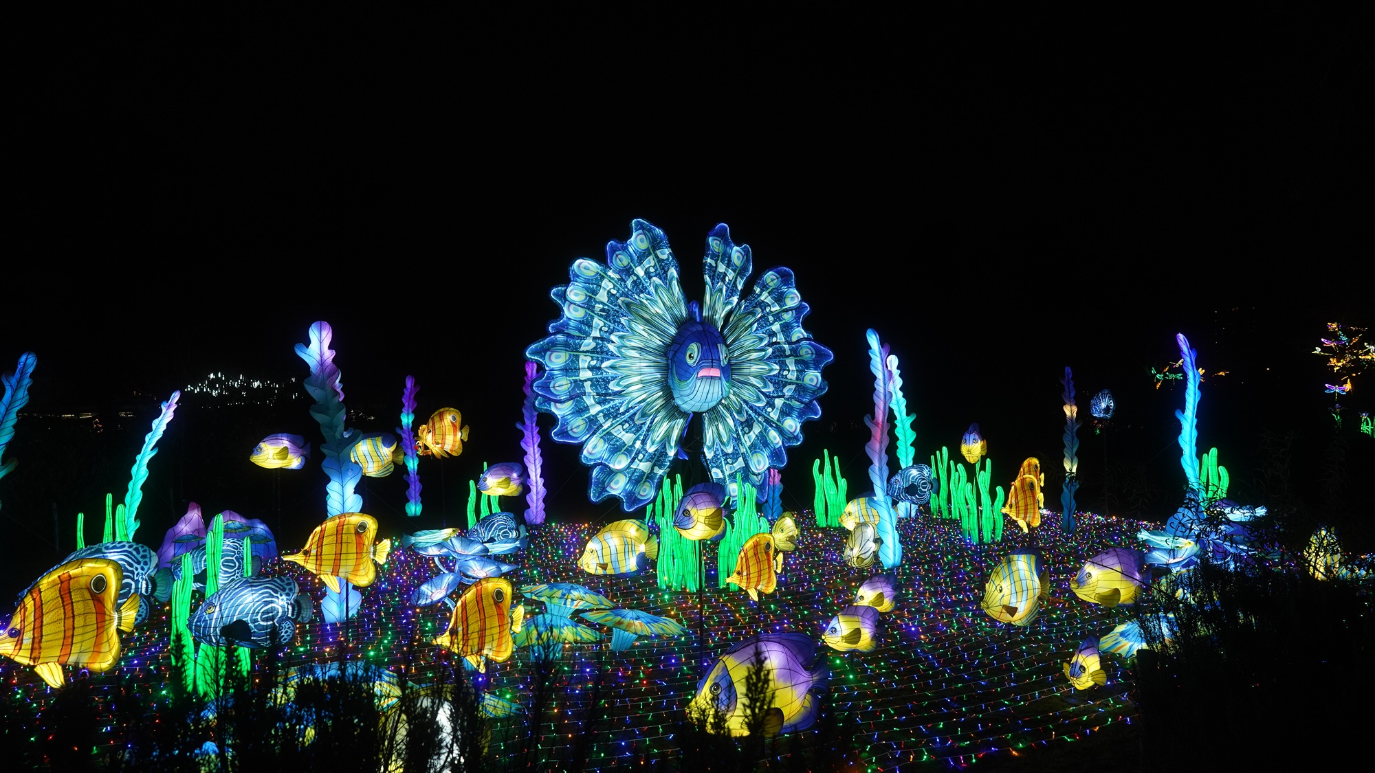 Die China Lights gelten als eines der größten Events am Niederrhein und sollen vom 10.10.-30.11.25 wieder zahlreiche Menschen in Kleve begeistern