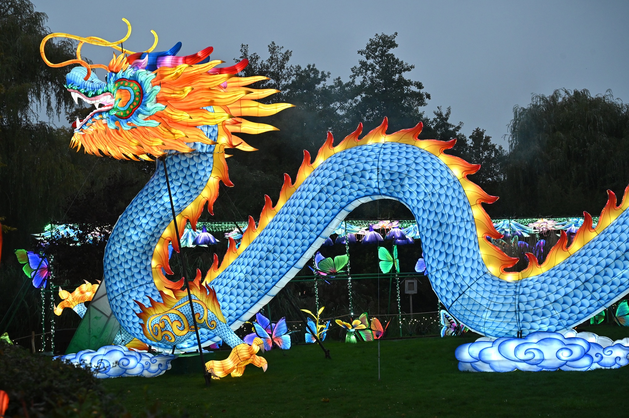 Bereits über 20.000 Gäste ließen sich von der Neuauflage der China Lights Kleve begeistern. noch bis zum 30.11.25 erstrahlen die neuen Laternen von (4)