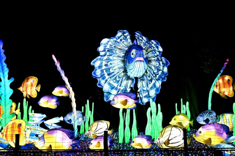Die Eröffnung der China Lights Kleve war ein voller Erfolg. Noch bis zum 30.11.2025 verzaubern zahlreiche neue Laternen die Gäste am Niederrhein (5)