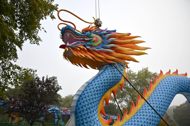 Mittels Kran wurde der 300 kg schwere Drachenkopf an die richtige Position gehoben (China Lights Kleve) (1)