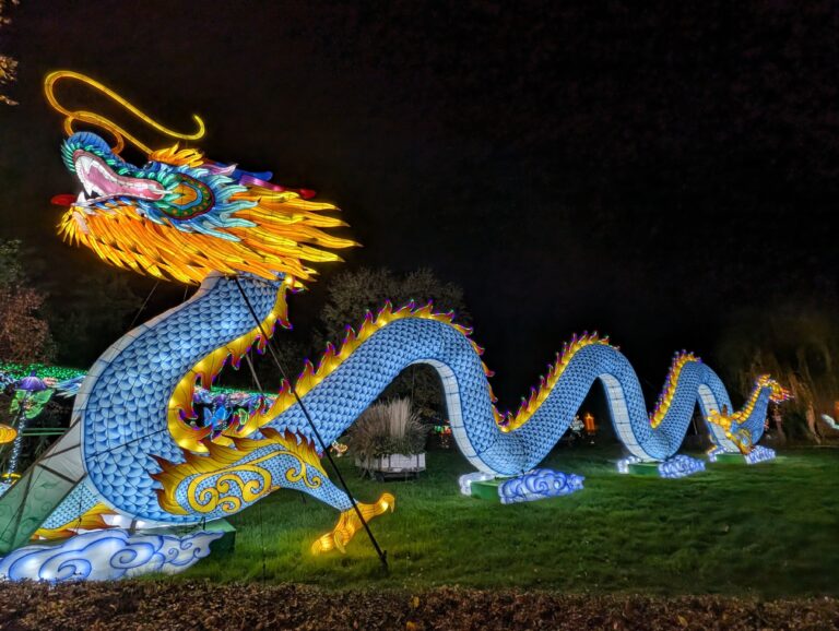 Die China Lights Kleve starten in den Endspurt- noch bis zum 30.11.25 können die zahlreichen Laternen im Tiergarten Kleve bewundert werden (1)