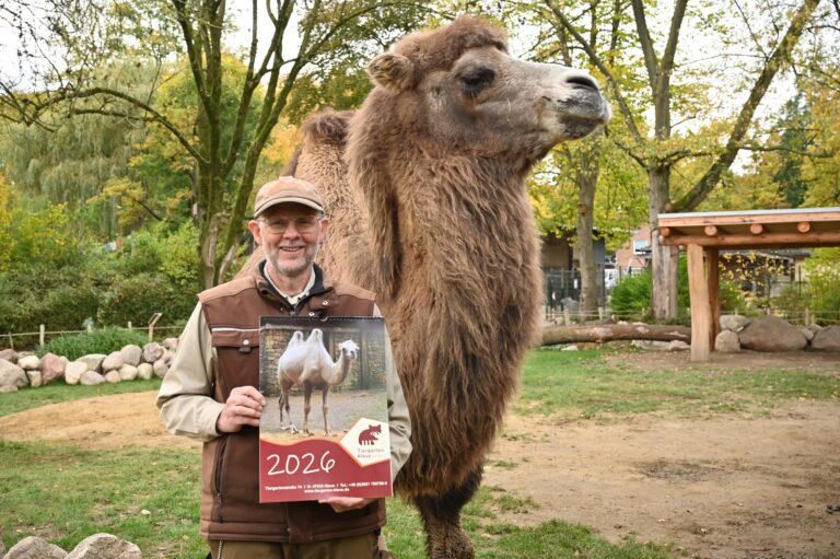 Tierpfleger und Fotograf Dietmar Cornelissen präsentiert gemeinsam mit Trampeltierstute Safira den neuen Kalender des Tiergarten Kleve
