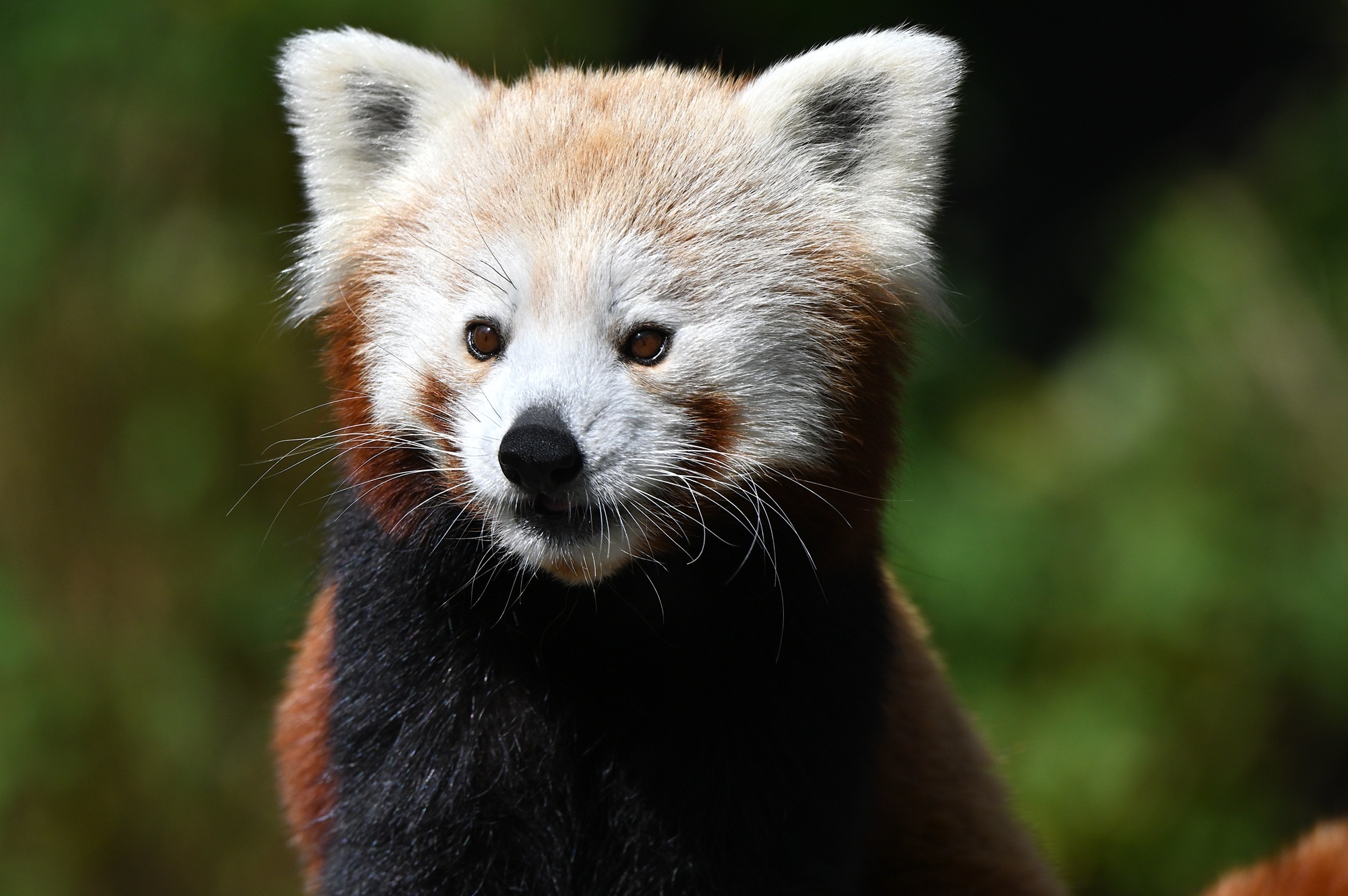 Am 23. und 30. Januar 2026 findet im Tiergarten Kleve zum ersten Mal ein tierisches Glühweintasting statt
