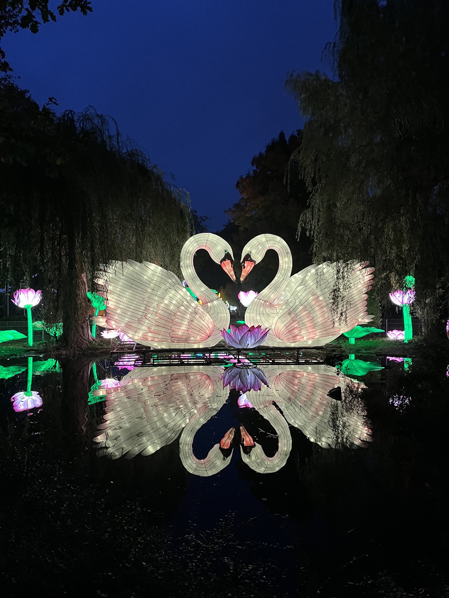 Die China Lights im Tiergarten Kleve waren auch 2025 wieder ein Publikumsmagnet (3)