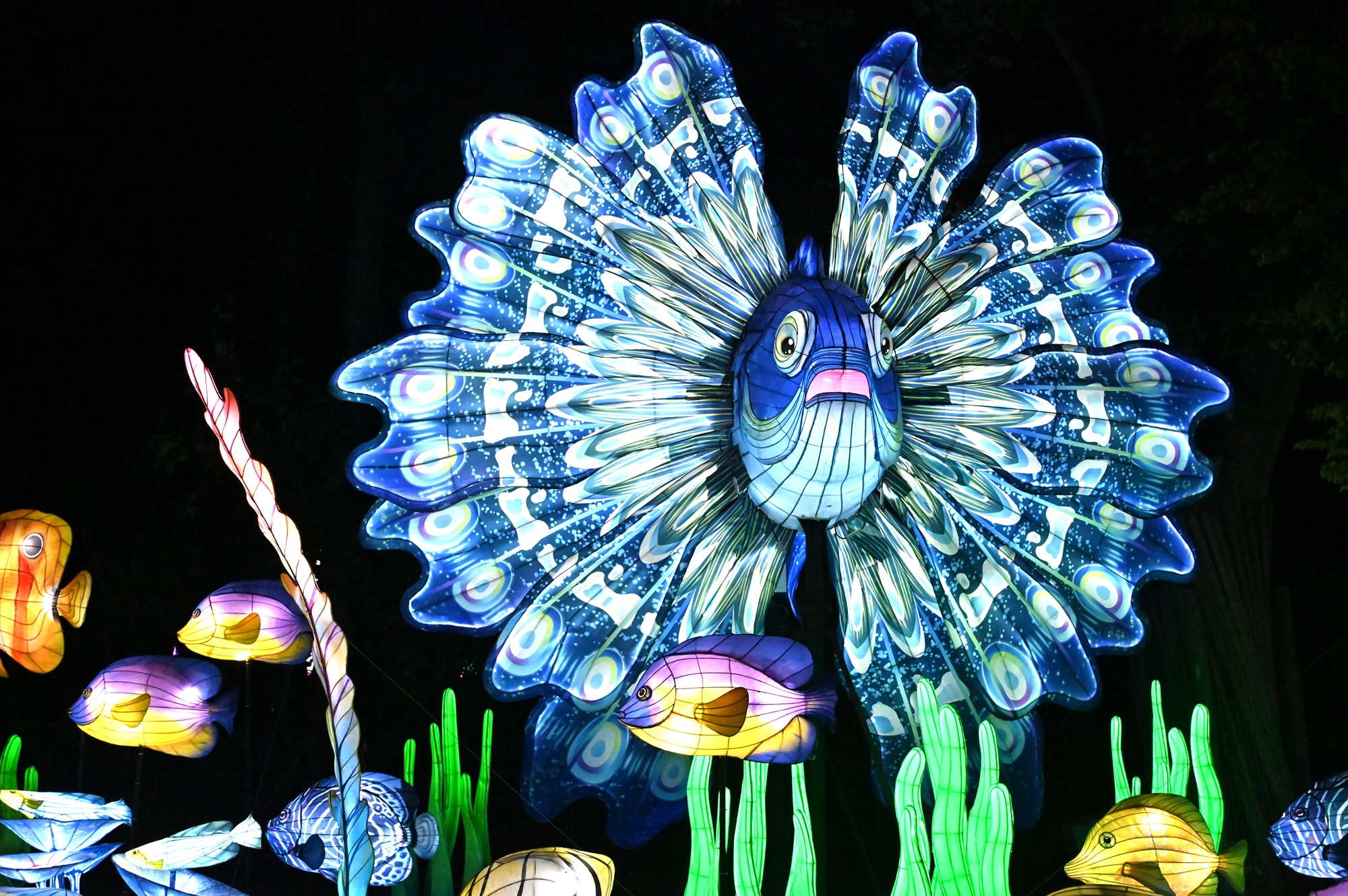 Die China Lights im Tiergarten Kleve waren auch 2025 wieder ein Publikumsmagnet (4)