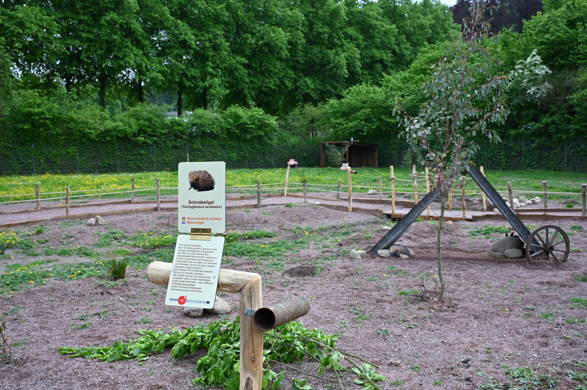Das neue Outback im Tiergarten Kleve bietet neben der Tuchfühlung mit Kängurus auch ein interaktives zoopädagogisches Konzept über die Tierwelt Australiens