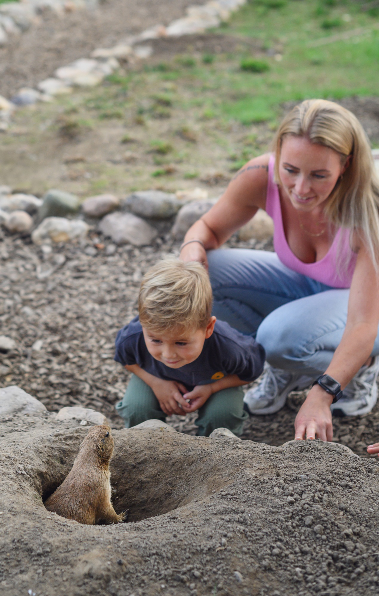 Die tierischen Sommerabende im Tiergarten Kleve versprechen ein unvergessliches Erlebnis für die ganze Familie - im Juli und August 2026 (