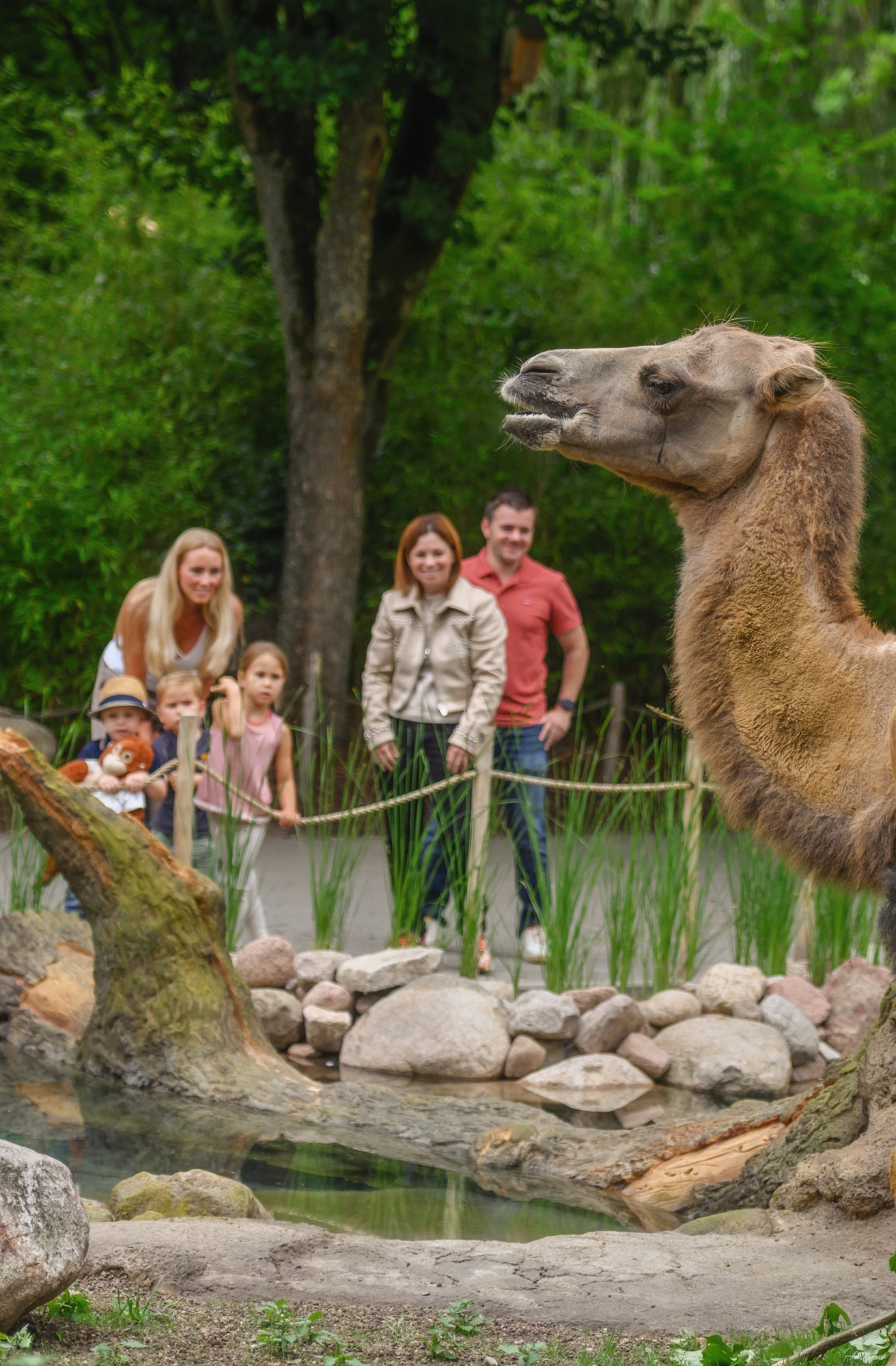 Die tierischen Sommerabende im Tiergarten Kleve versprechen ein unvergessliches Erlebnis für die ganze Familie - im Juli und August 2026 ( (4)