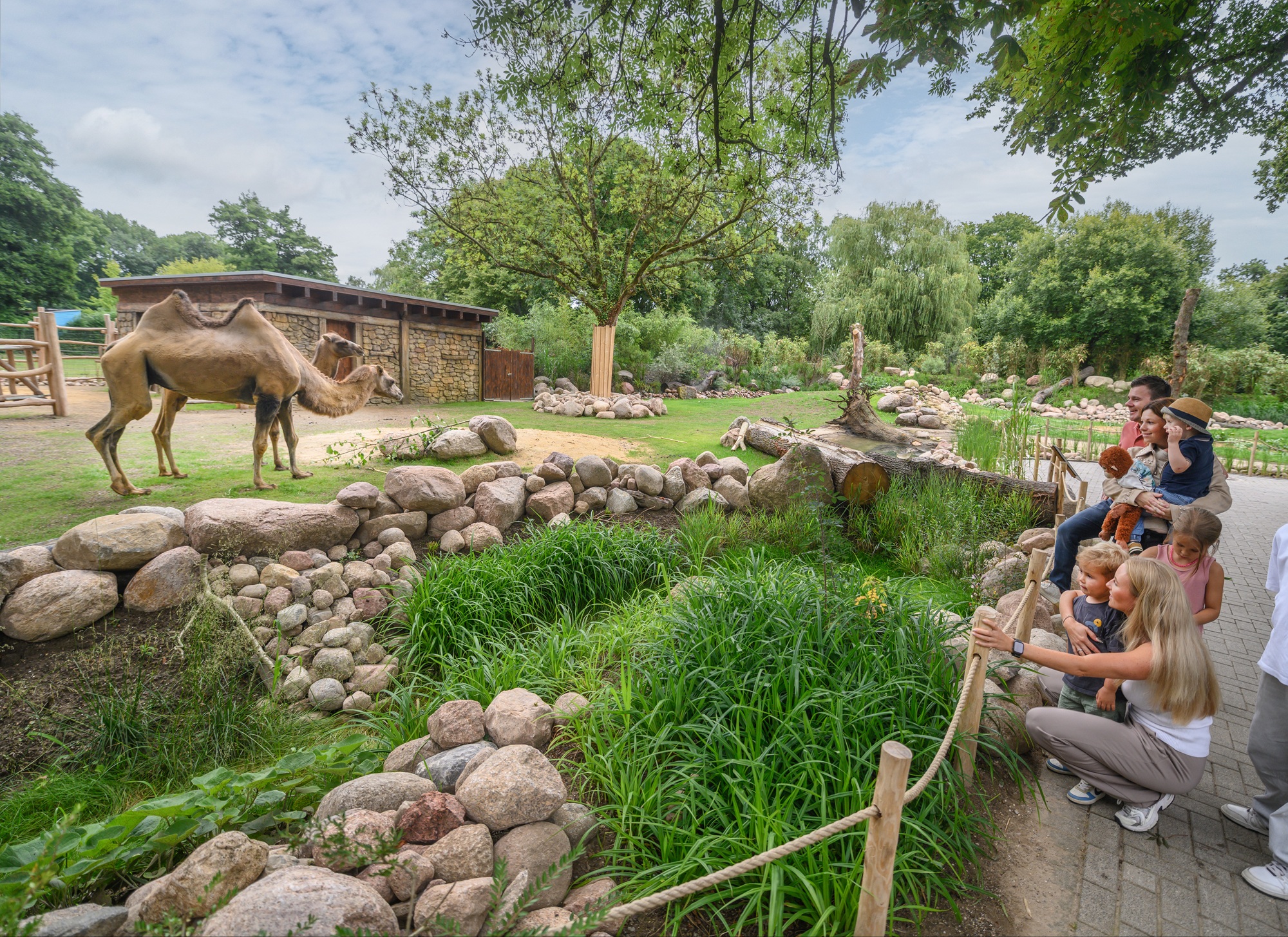 Die 2025 neu eröffnete Welt der Trampeltiere gehört zu den Highlights im Tiergarten Kleve (2)