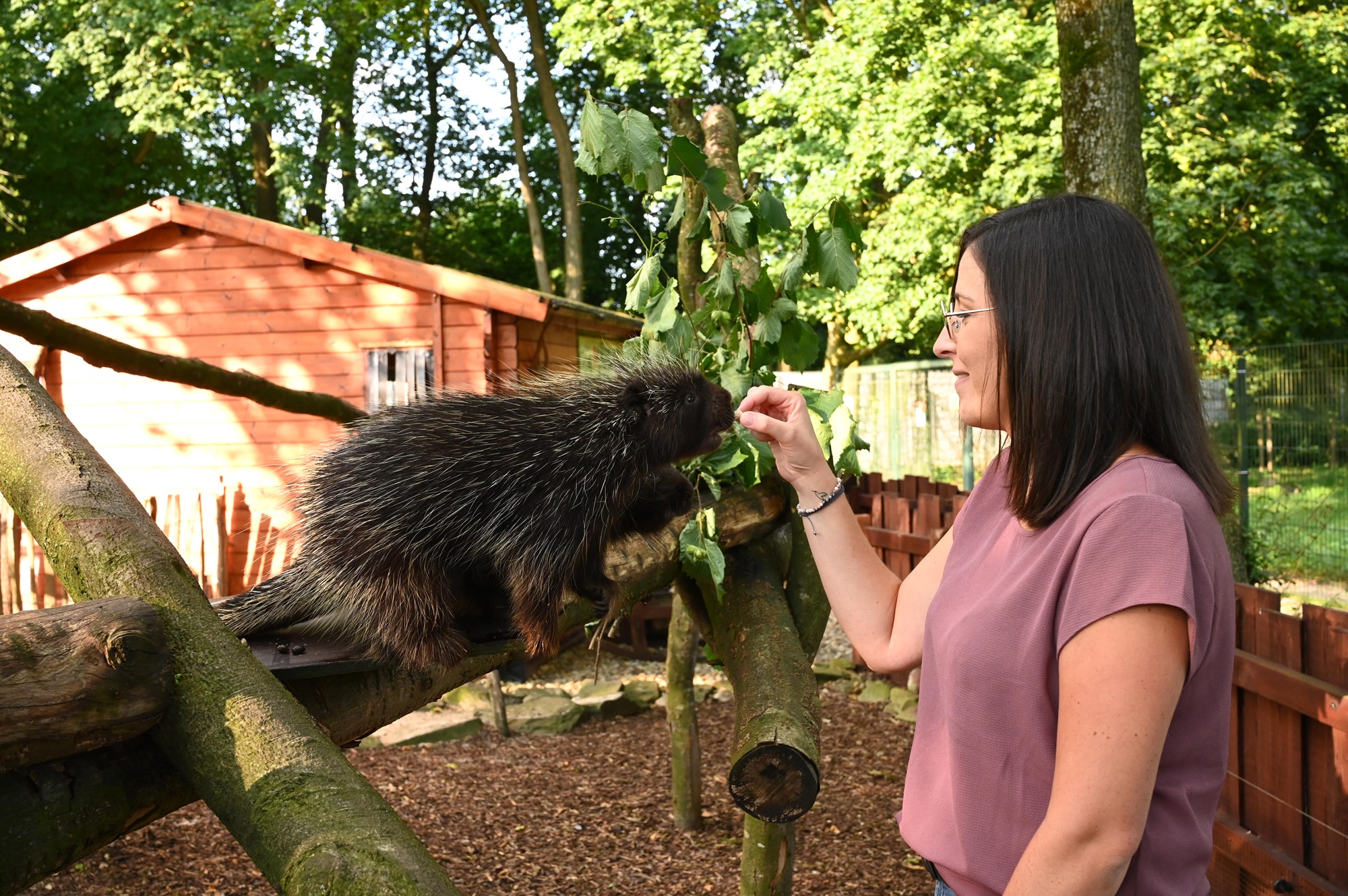Rendezvous mit dem Lieblingstier im Tiergarten Kleve