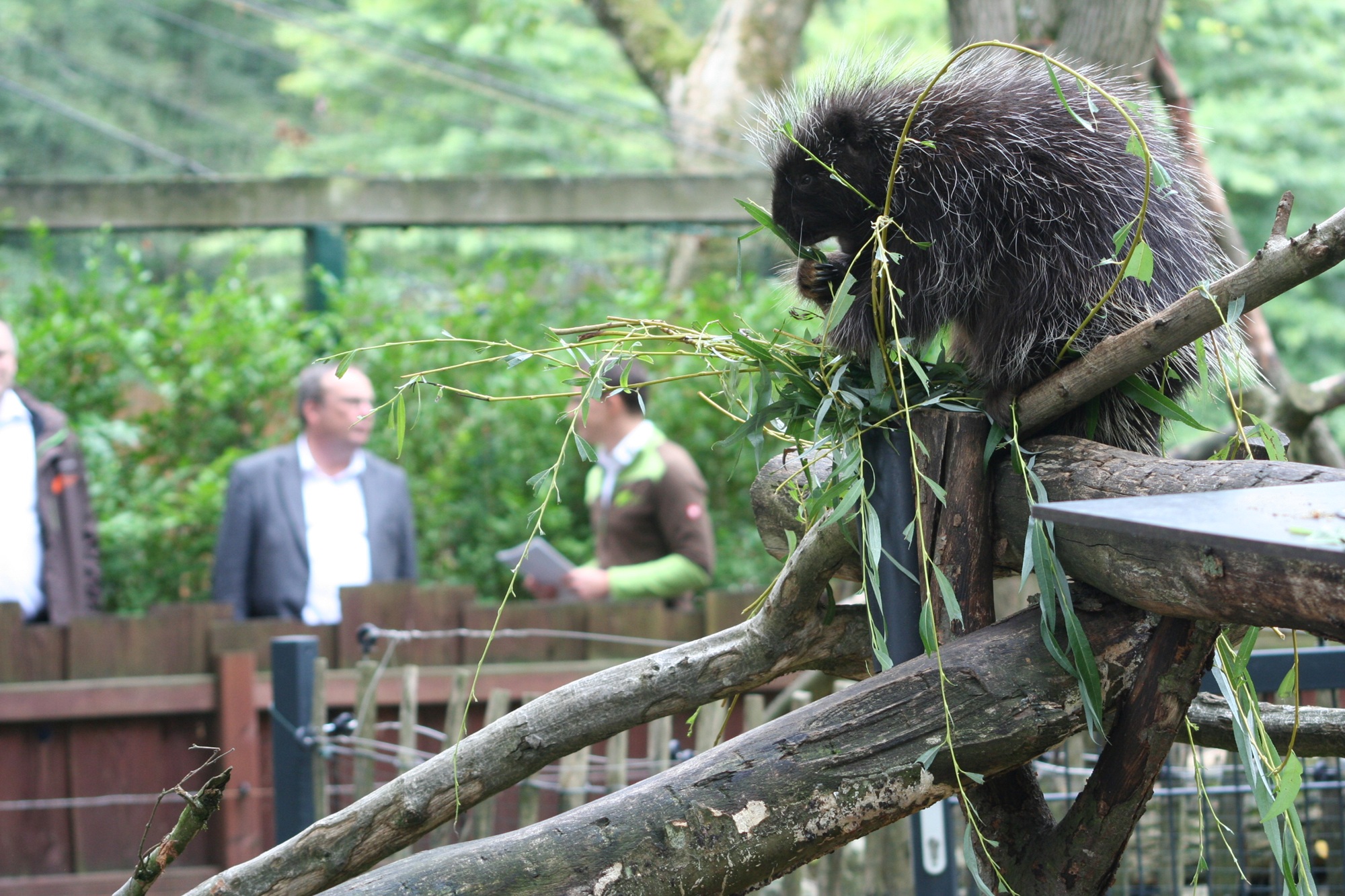 Im Rahmen des diesjährigen Artenschutztags besuchte NRW-Umweltminister Oliver Krischer den Tiergarten Kleve (3)