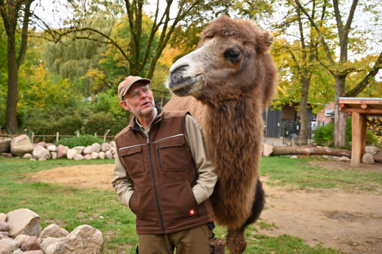 Dietmar Cornelissen mit Trampeltier Safira