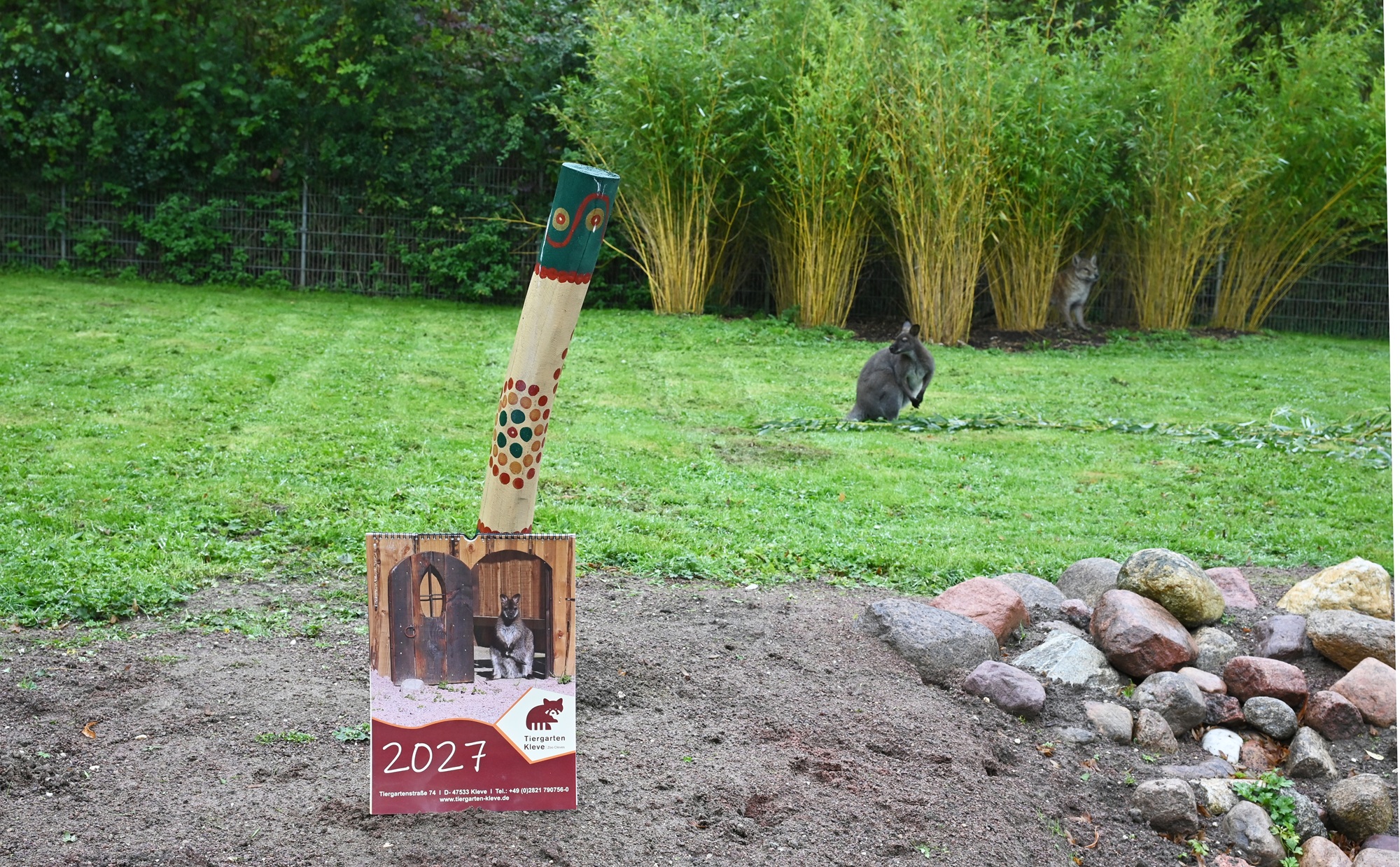 Känguru mit dem neuen Kalender vom Tiergarten Kleve